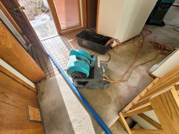 , NJ Water damage restoration Company