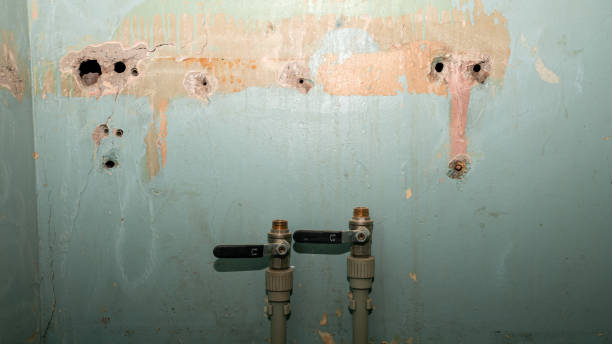 Best Water damage restoration near me  in Avon By The Sea, NJ