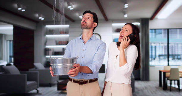 Best Mold removal after water damage  in Avon By The Sea, NJ