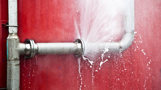Best Flood damage cleanup  in Avon By The Sea, NJ
